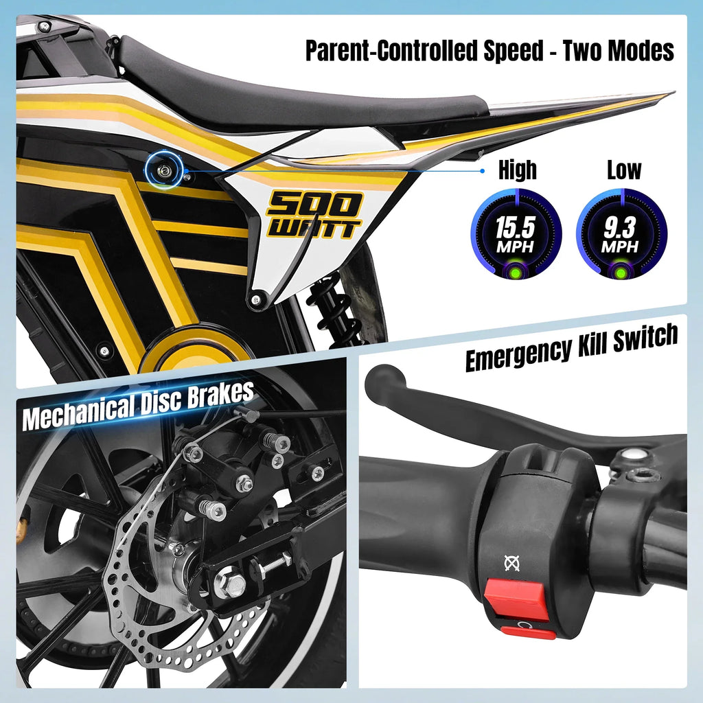 QEASET electric dirt bike, 500W kids dirt bike for Boys Girls Age 8-14, Blue